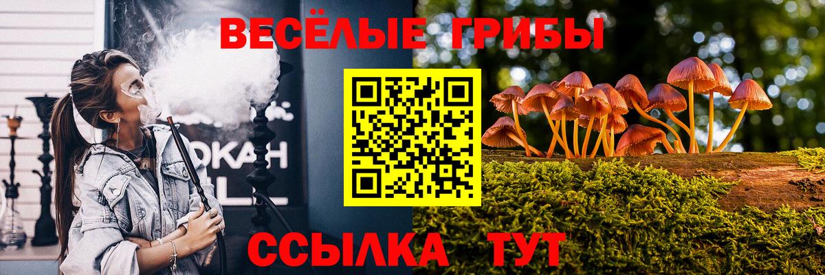Галлюциногенные грибы мицелий Иркутск