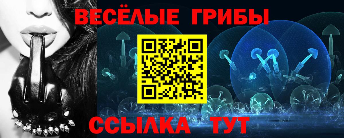 Псилоцибиновые грибы Psilocybe  Вход с VPN  Иркутск 